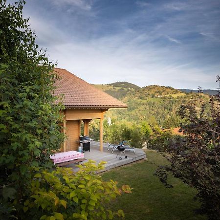 Chalet Skadi La Bresse Εξωτερικό φωτογραφία