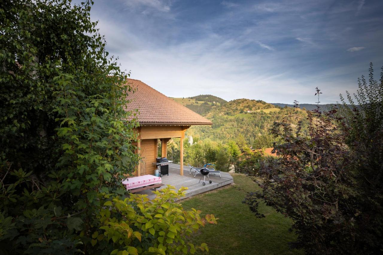 Chalet Skadi La Bresse Εξωτερικό φωτογραφία
